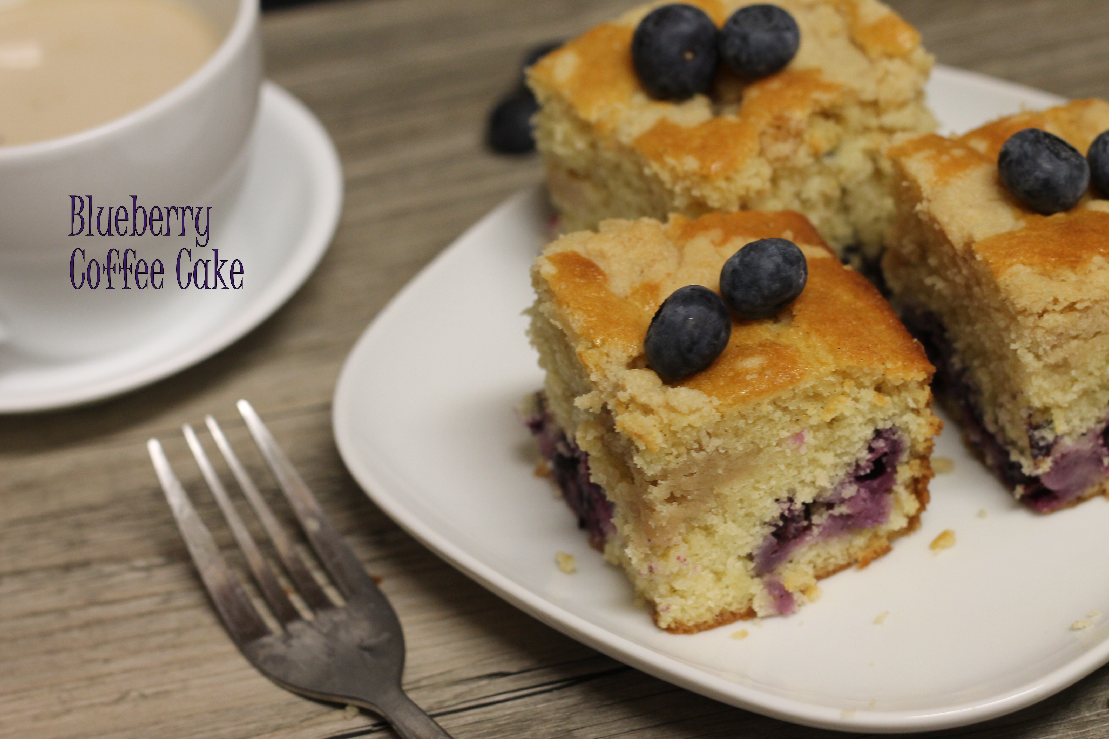 Blueberry Coffee Cake - Traditionally Modern Food