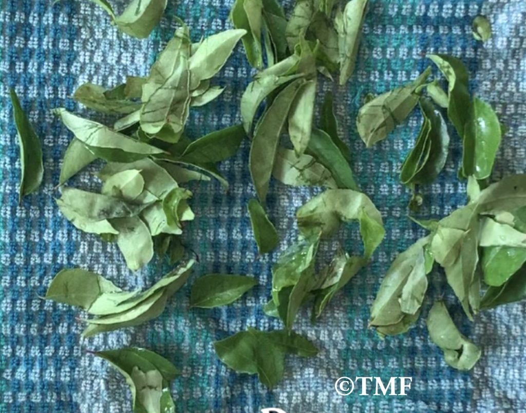 How to dry Curry leaves in microwave Traditionally Modern Food