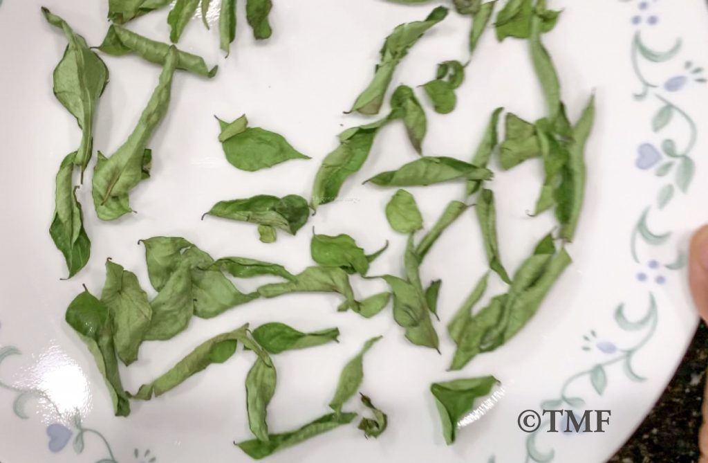 How to dry Curry leaves in microwave Traditionally Modern Food