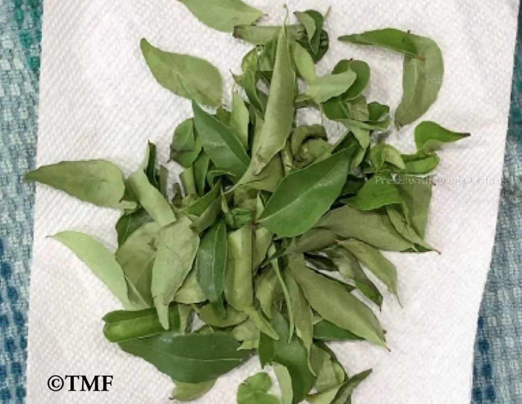 How to dry Curry leaves in microwave Traditionally Modern Food