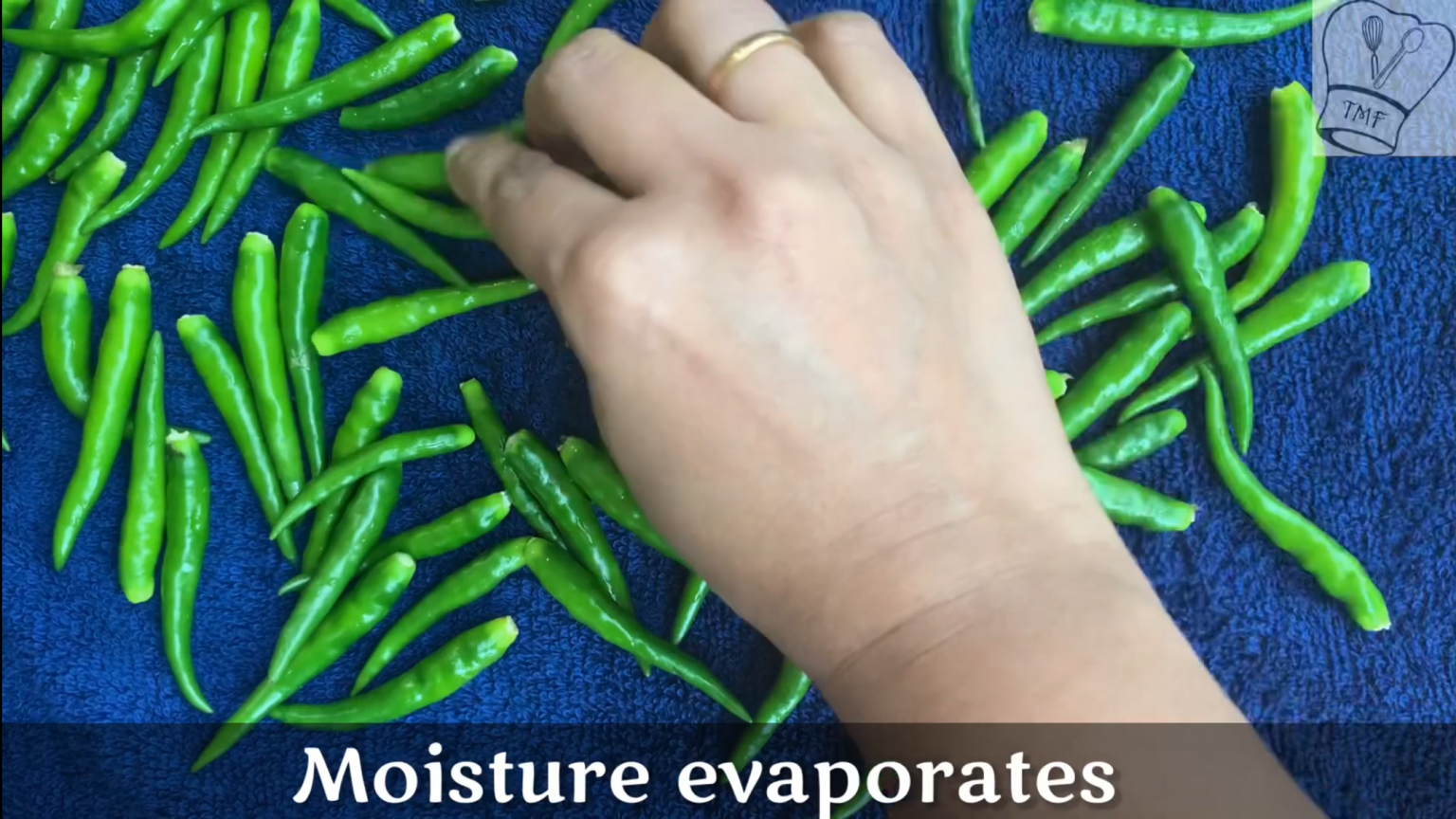 How to keep Green chilli fresh for long time Traditionally Modern Food