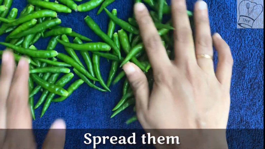 How to keep Green chilli fresh for long time Traditionally Modern Food