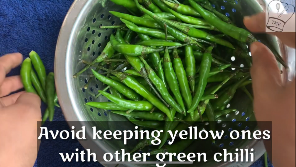 How to keep Green chilli fresh for long time Traditionally Modern Food