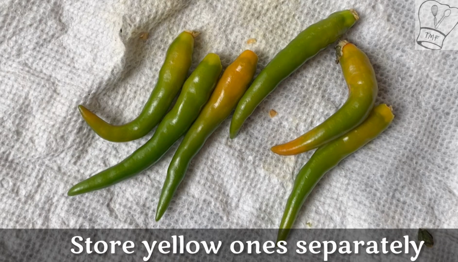 How to keep Green chilli fresh for long time Traditionally Modern Food