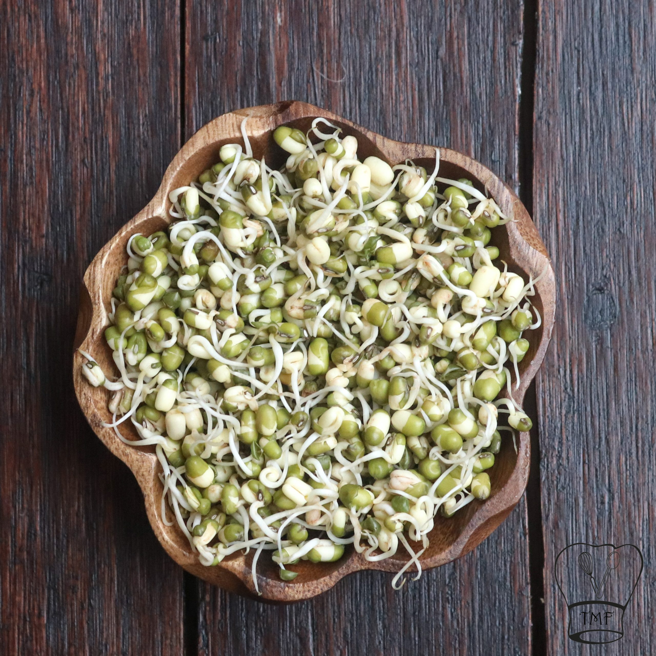 Mung bean sprouts | How to sprout mung beans - Traditionally Modern Food